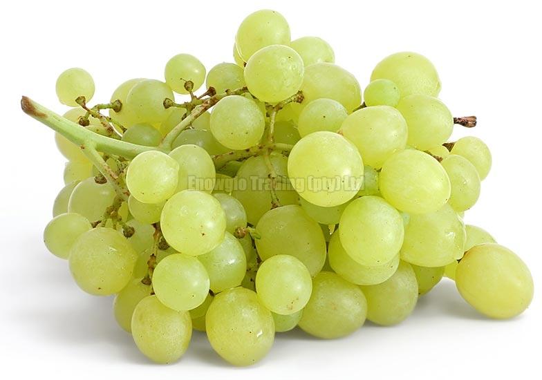 High Quality Fresh Seedless Green Grapes