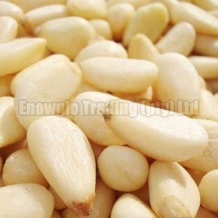 Pine Nuts Kernels