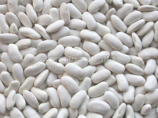 white kidney beans