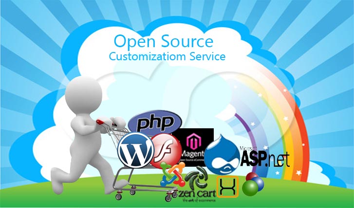 Open Source Web Development Services