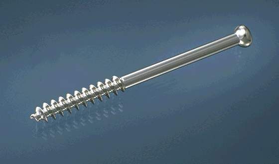 Cancellous Screws