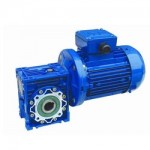 Worm Gear Motor