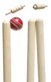 Cricket stumps