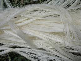 Natural Sisal Fibre