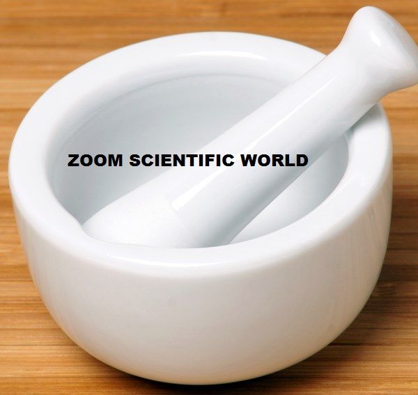 ZOOM Mortar and Pestle Zoom Scientific World, Ambala, Haryana