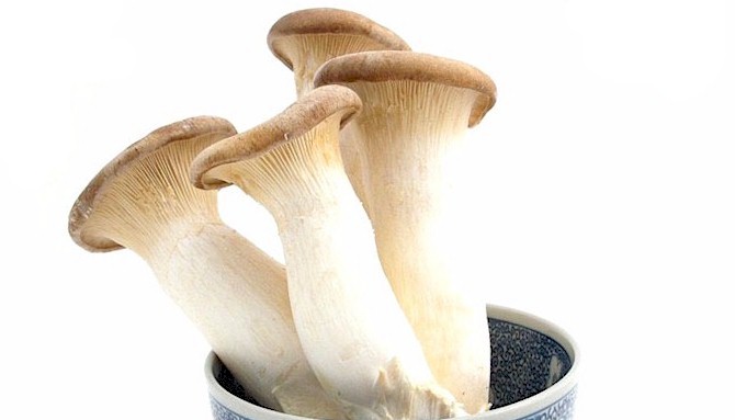 king-oyster-mushroom-933366.jpg