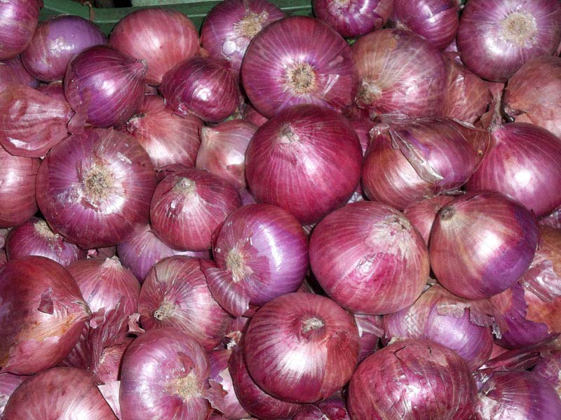 red onion