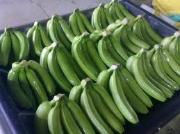 Best Quality Farm Fresh Cavendish Banana