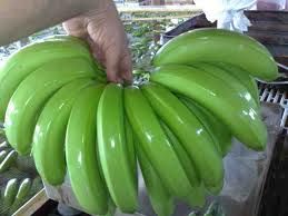 fresh cavendish bananas