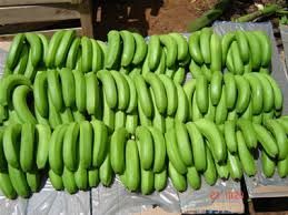 Yellow Fresh Cavendish Banana