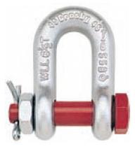 Bolt Type Chain Shackles