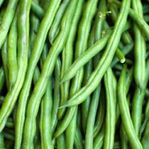 Organic French Bean Seeds, Style : Natural