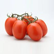 Hybrid Tomato