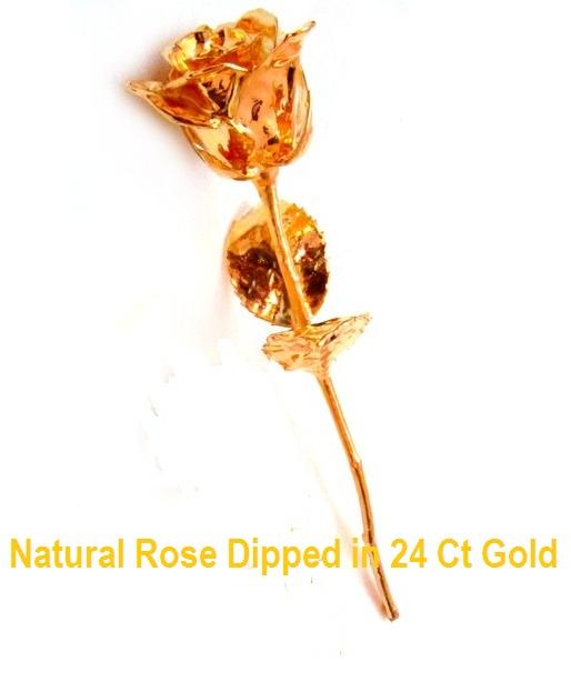 Gold Plated Rose (6")