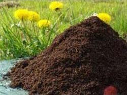 Biotic High Yield Organic Manure