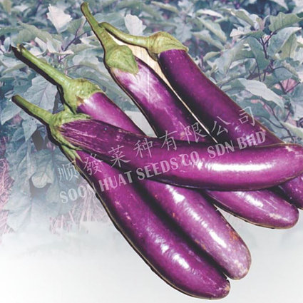Eggplant Balling