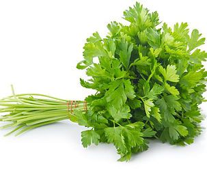 Malaysian Parsley Buy Parsley Malaysia From Soon Huat Seeds Co Sdn Bhd