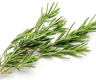 rosemary