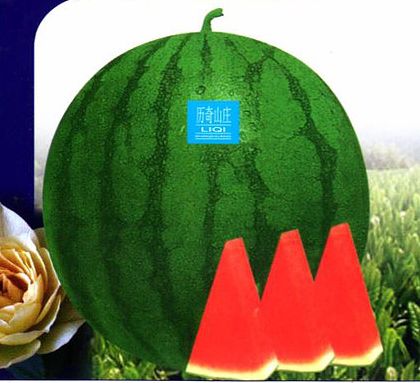 Watermelon Quality