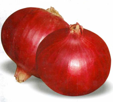 Gulabi Onion Seeds