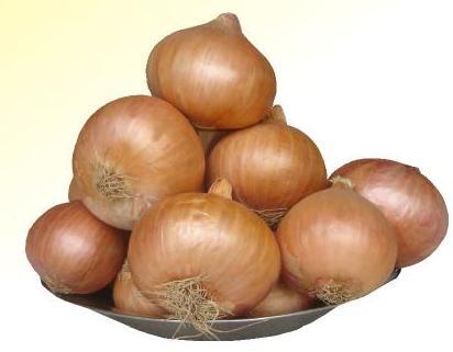 Poona Fursungi Onion Seeds