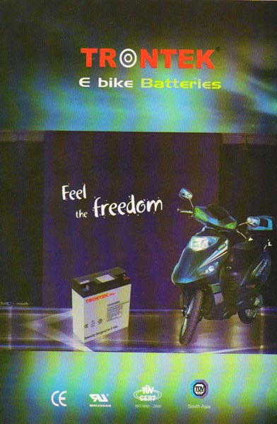Trontek E-Bike Battery