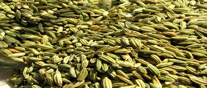 Fennel Seeds