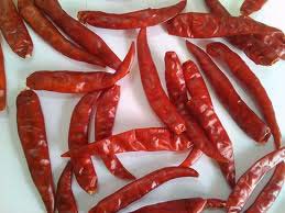 teja s17 dry red chilli