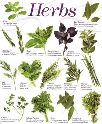 raw herbs