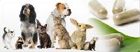 animal healthcare products