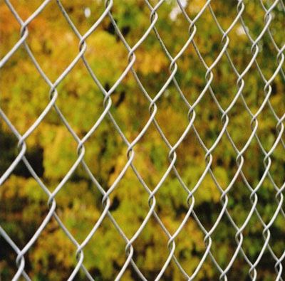 Chain Link Fence