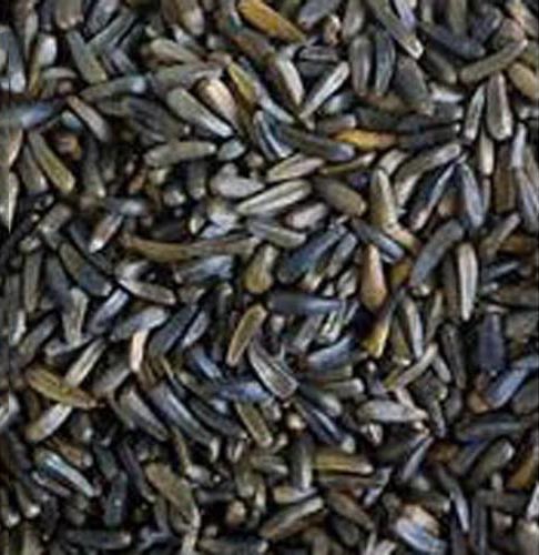 Common Niger Seeds, Grade : A