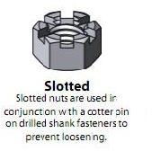 Slotted Nut