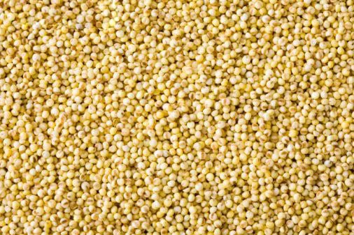 Millet Seeds