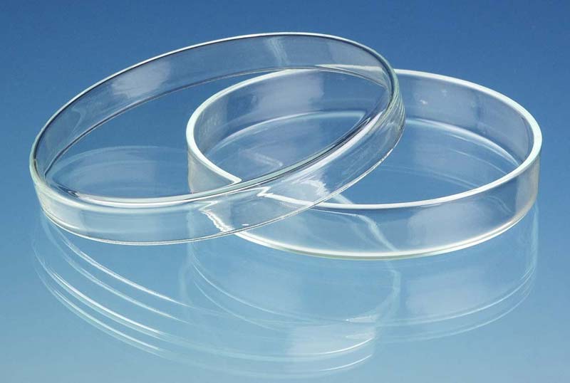 Polished 0-50gm Glass Petri Dish, Size : 10inch