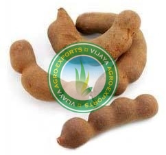 Tamarind Pods, Packaging Size : 100-200gm, 200-500g, 50-100gm