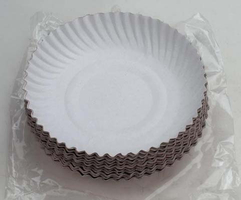 Disposable Paper Dishes