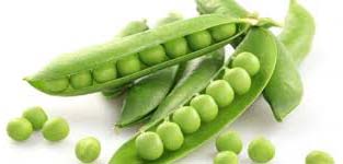 Fresh Green Peas