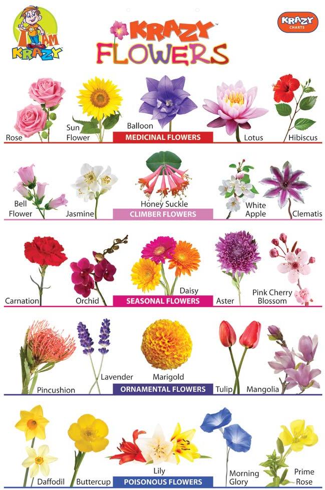 Names Of Indian Flowers In English