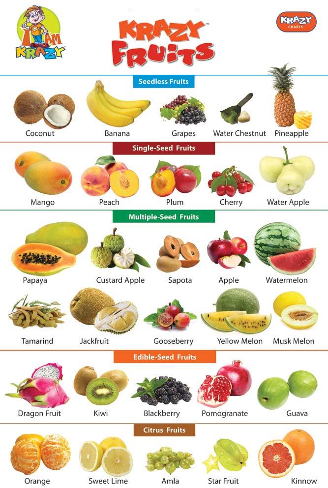 Krazy Fruits Chart Manufacturer & Manufacturer from, India | ID - 1015315