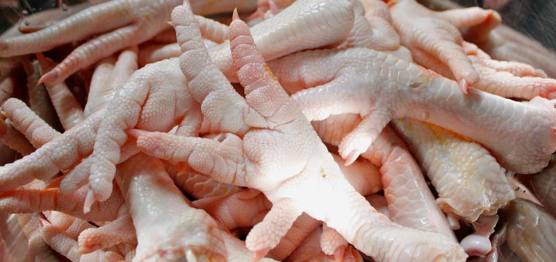 Frozen Chicken Feet Wings Paws