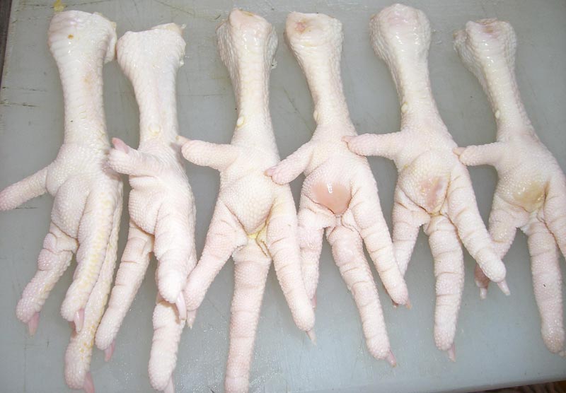 frozen chicken feet