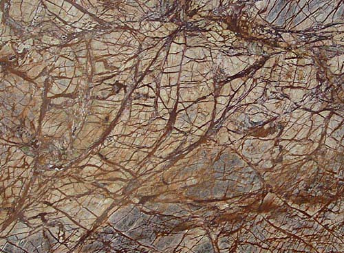 Soft Organic Rainforest Brown Marble Stone, for Cooking, Food, Human Consumption, Form : Solid