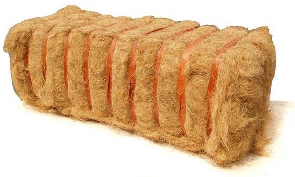 coir fiber