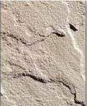 Rectangular Polished Beige SandStone, for Bath, Roofing, Size : 12x12Inch, 24x24Inch, 36x36Inch