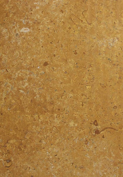 Jaisalmer Fossil Indian Marble Stone, for Hotel, Kitchen, Office, Restaurant, Size : 12x12ft12x16ft