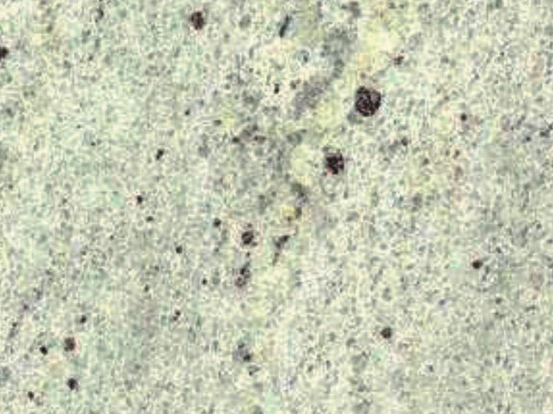 Polish Kashmiri White Granite Stone, for Bath, Flooring, Kitchen, Roofing, Size : 12x12Inch, 24x24Inch