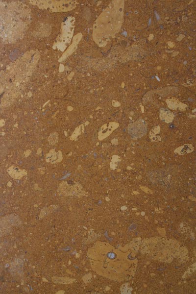 Star Gold Indian Marble Stone