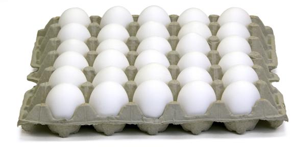 Fresh Farm Chicken White Eggs
