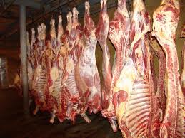 Australian Lamb & Mutton ( Halal & Frozen)